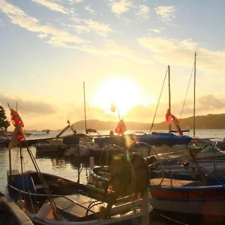T2 Refait A Neuf, Au Calme, Piscine, Parking Prive Appartamento La Seyne-sur-Mer